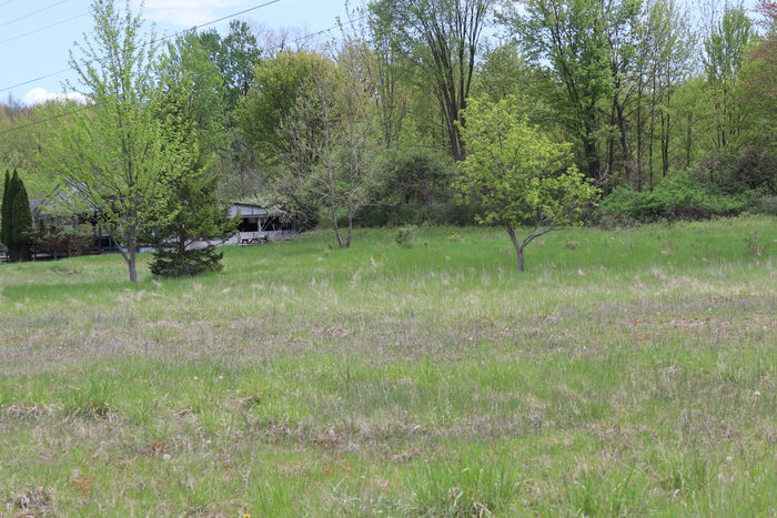 Kings Animaland Park - May 14 2022 (newer photo)